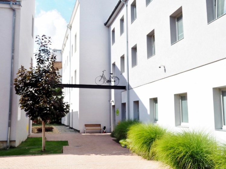 P9180033 (800x600).jpg